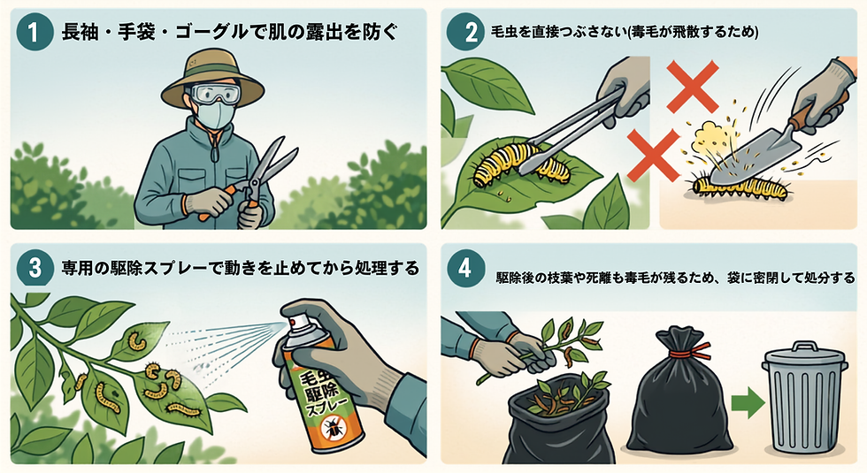 毛虫を自分で駆除する際の注意点