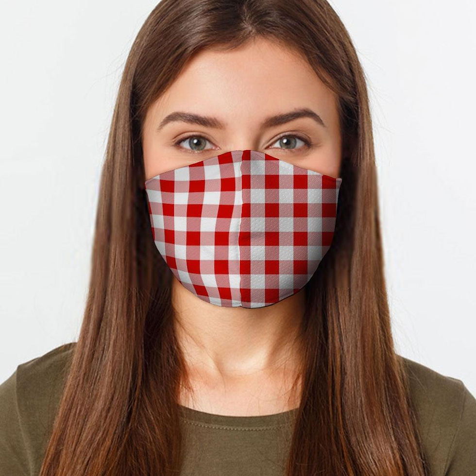 Thumbnail: Red Gingham Preventative Face Mask