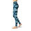 Thumbnail: Beverly Blue Rose