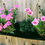 Miniature : 5 Pocket Indoor / Outdoor Waterproof Horizontal Planter-Eco-Friendly