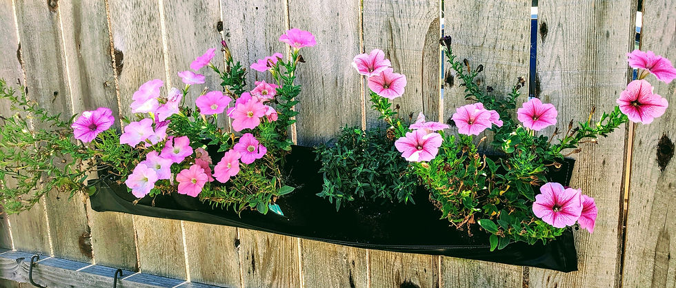 5 Pocket Indoor / Outdoor Waterproof Horizontal Planter-Eco-Friendly