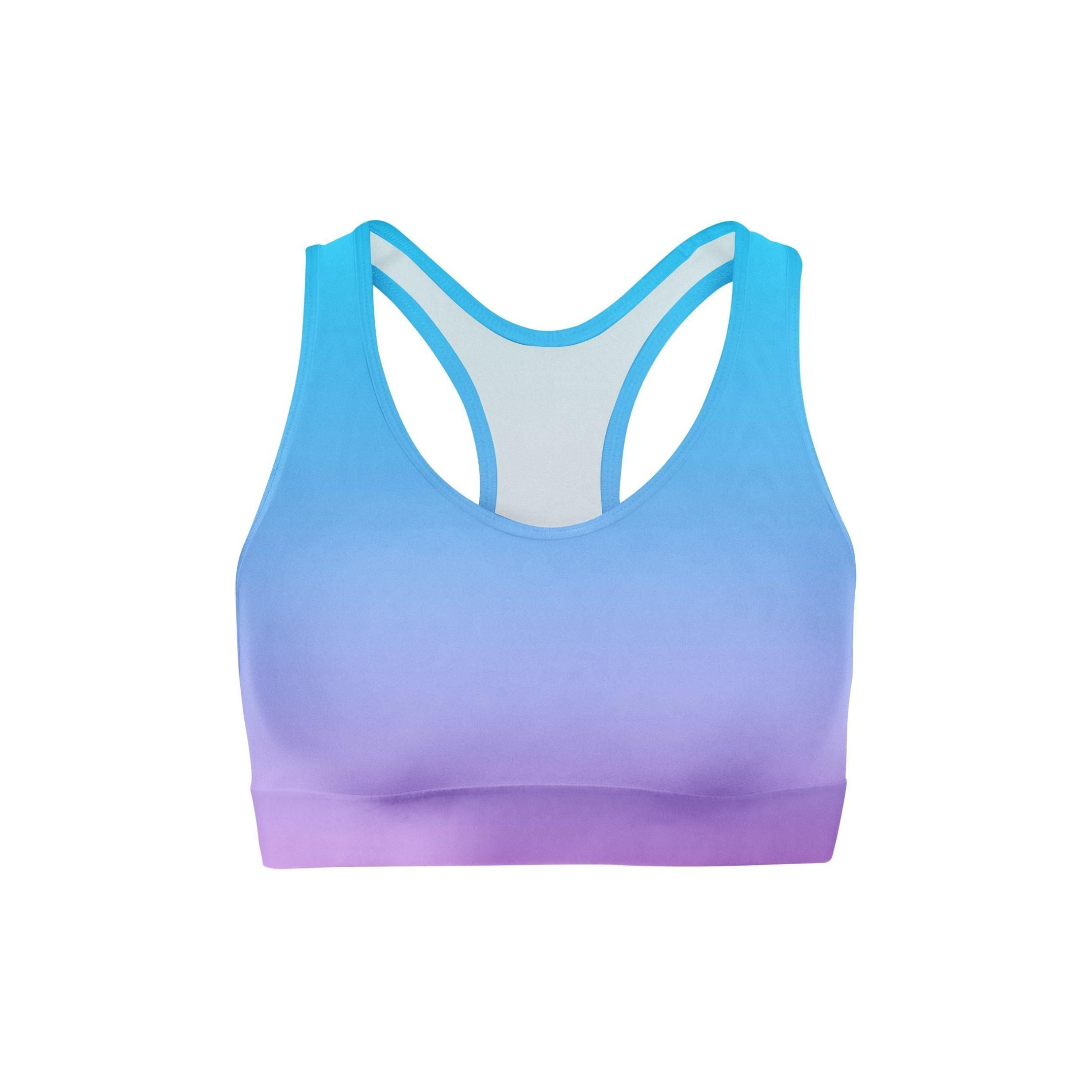 Blue Pink Ombre Sports Bra