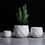 Thumbnail: Creative Ceramic Diamond Geometric Flowerpot Simple Succulent Plant Container