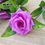 Thumbnail: 2.4m Silk Artificial Roses Flowers Rattan String Vine With Green Leaves for Home
