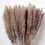 Thumbnail: 20pcs Dried Pampas Grass Natural Phragmites&reed Flowers