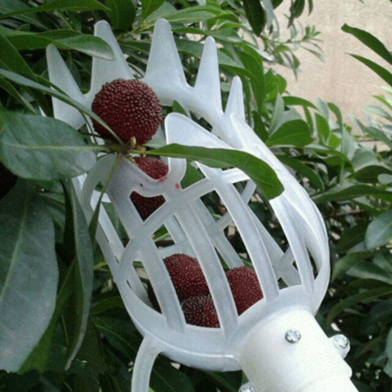 Thumbnail: Does Not Harm Fruit Picker High Altitude Fruit Picker Garden