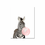 Thumbnail: Pink Bubble Elephant Giraffe Child Poster Animal Wall Art Canvas Nursery Print