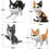 Thumbnail: In Stock Balody  16038 16036 16037 16039 1 Diamond Building Blocks Brick Pet Cat