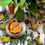 Thumbnail: No. 0 - Soul (4 Oz)