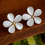Thumbnail: New Fashion Simulated Pearls Pendientes Bijoux Angel Wings Leaf Feather Flowers