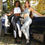 Thumbnail: Laguna Leggings - Grey