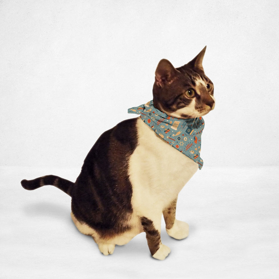 Thumbnail: Happy Hanukkah Cat & Dog Bandana