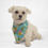 Thumbnail: Golden Pineapple Cat & Dog Bandana