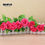 Thumbnail: 2.4m Silk Artificial Roses Flowers Rattan String Vine With Green Leaves for Home
