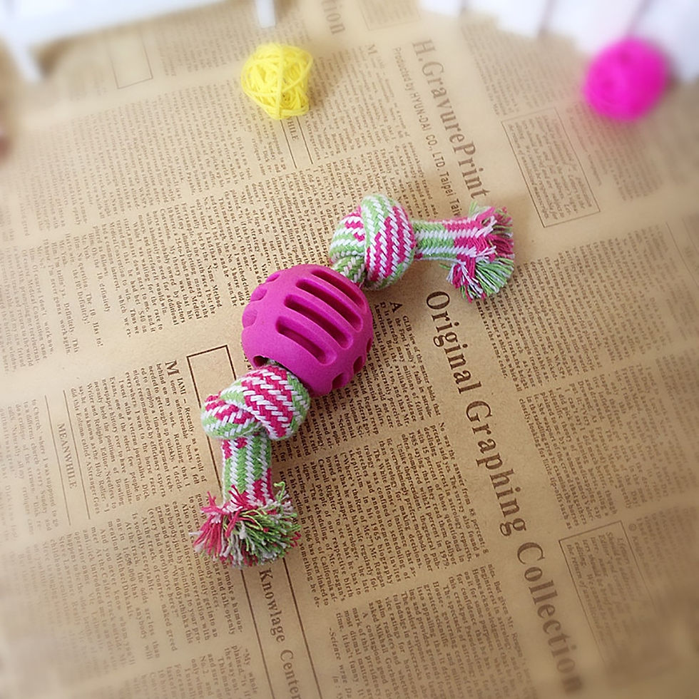 Thumbnail: Products Braid Rope Ball Pet Dog Chews Pull Toy Aggressive Chewers
