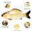 Thumbnail: 30CM Electronic Pet Cat Toy Electric USB Charging Dog Cat Chewing Playing