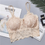 Thumbnail: Push Up Wireless Lace Bra Top Women Plus Size Bralette Underwear Full Cup