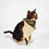 Thumbnail: Black Gold Distressed Cat & Dog Bandana