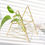 Thumbnail: Ins Nordic Hydroponic Container Green Dill Plant Container Transparent Glass