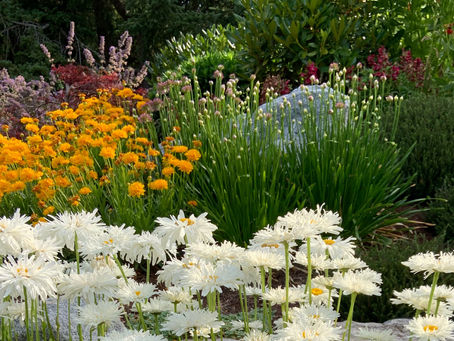 Choosing The Right Plants For Your Garden (Part 1): Will It Survive?