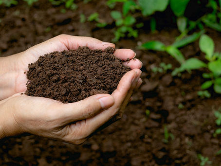 3 Tips for Improving Garden Soil