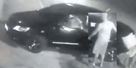 darkgif02.gif