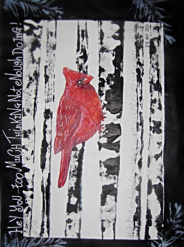 Red Cardinal
