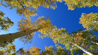 pando in utah