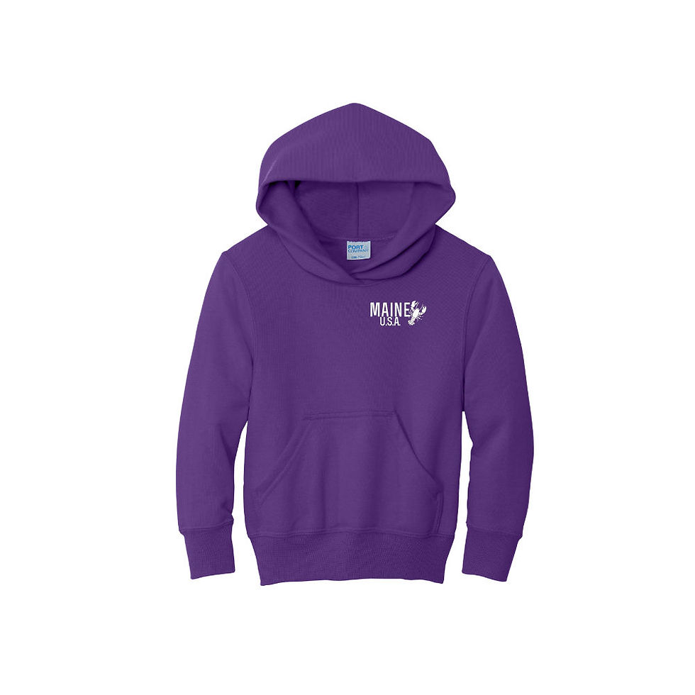 Thumbnail: Youth Old Maine Flag Hoodie Purple made by Maine Hoodies