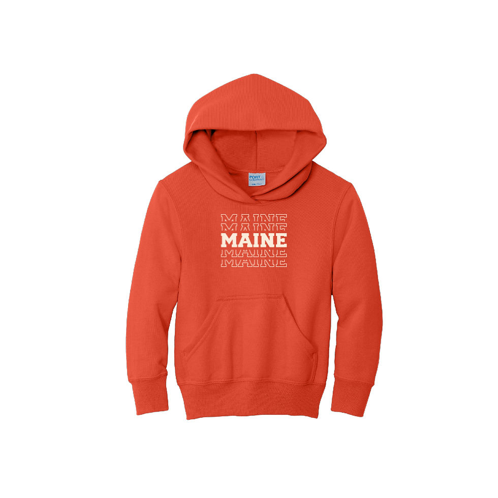 Thumbnail: Youth Patriotic Maine Hoodie from Maine Hoodies
