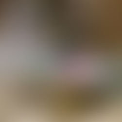 ［催事販売］日本橋高島屋 催事販売のお知らせ