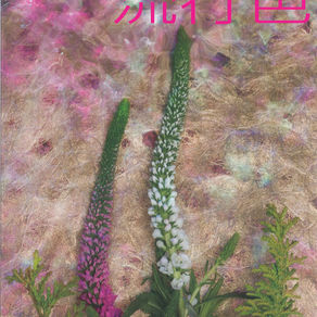 雑誌『流行色』掲載