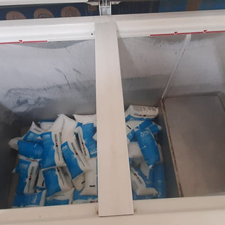 Projeto Viva Leite: nutrição que transforma.