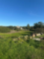 Terreno Boavista