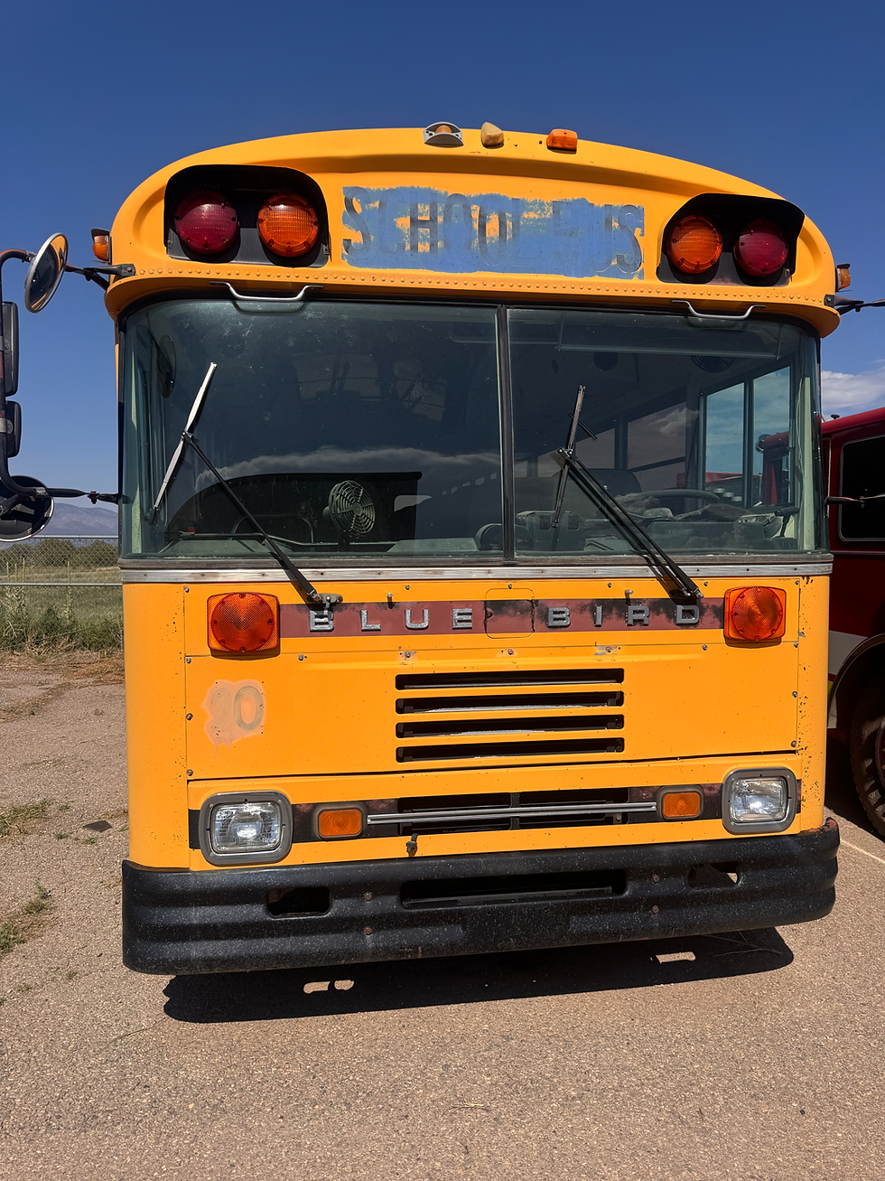 Thumbnail: Blue Bird School Bus 