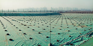 BEIJING BESIEGED BY WASTE