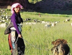 Old Dog (dir. Pema Tseden)