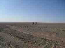 Chinese Independent Documentaries at Light Industry (NYC)