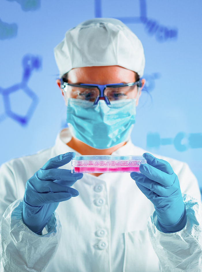 Stem cell research