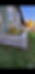 gardenbed.JPEG