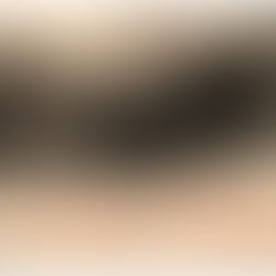 L'avvocato Ninetta (XI)