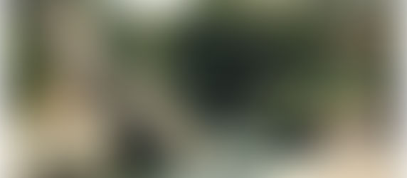 Tra mare, pantano e ponte rotto