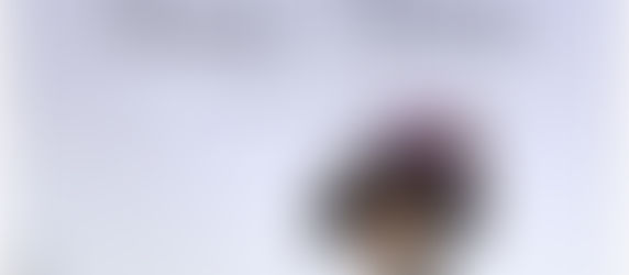 Amore e gelosia (XIII)