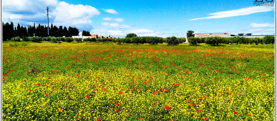 Il giorno della partenza