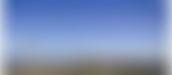 Un'altra pandemia sta colpendo l'Italia