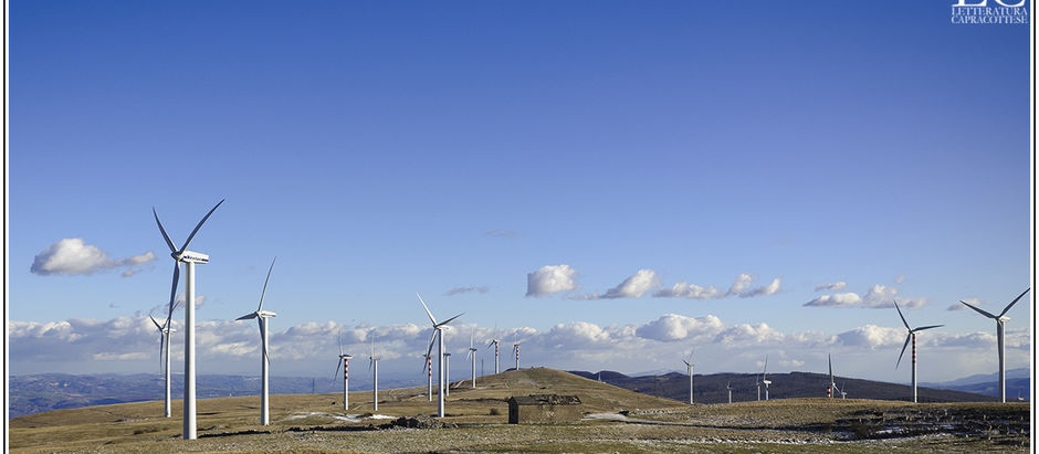Un'altra pandemia sta colpendo l'Italia