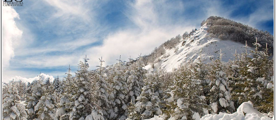 Perché da un forlivese un canto per Capracotta?