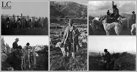Capracotta all'Esposizione di Caseificio Meridionale del 1910
