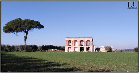 Da Capracotta a San Severo: il mistero di Antonino Del Castello