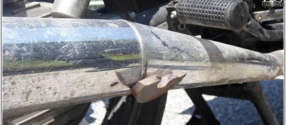 Riguardando le vecchie foto...